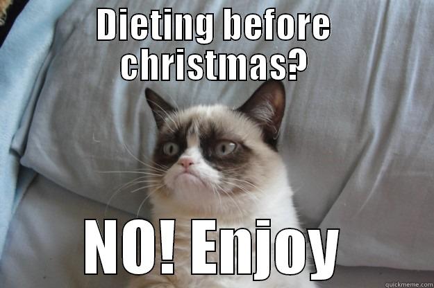 Dieting before christmas - DIETING BEFORE CHRISTMAS? NO! ENJOY Grumpy Cat