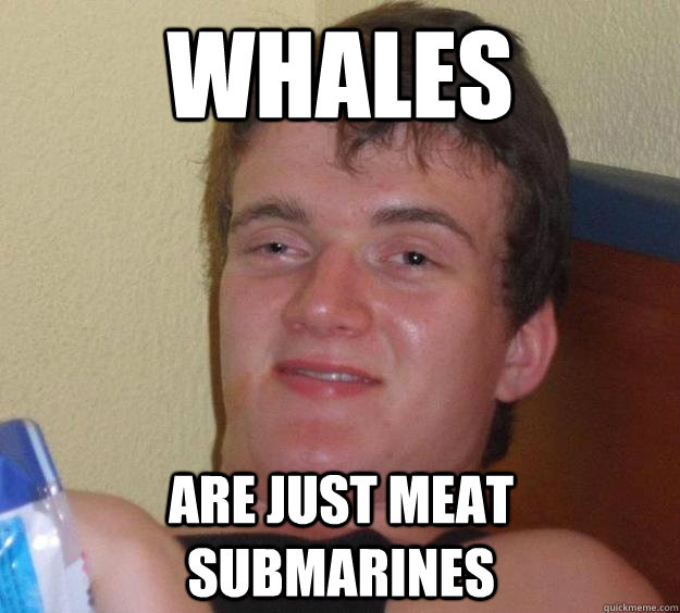 Whales Are just meat submarines - Whales Are just meat submarines  10 Guy