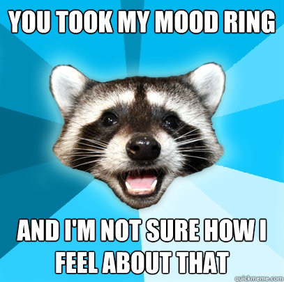 YOU TOOK MY MOOD RING AND I'M NOT SURE HOW I FEEL ABOUT THAT  Lame Pun Coon