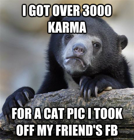 I got over 3000 karma  for a cat pic I took off my friend's fb - I got over 3000 karma  for a cat pic I took off my friend's fb  Confession Bear