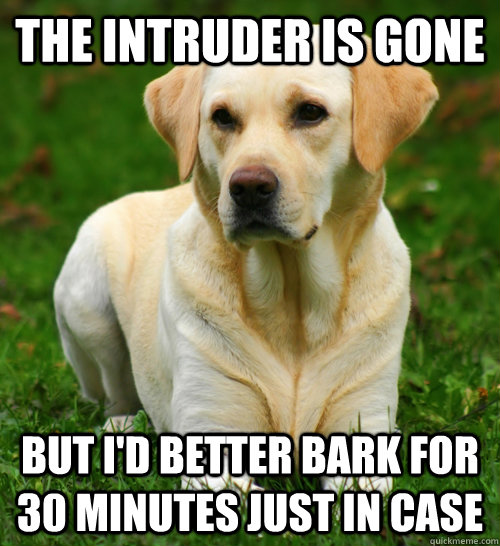 The intruder is gone But i'd better bark for 30 minutes just in case  Dog Logic