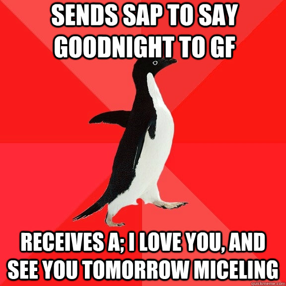 Sends SAP to say goodnight to GF Receives a; I love you, and see you tomorrow miceling  Socially Awesome Penguin