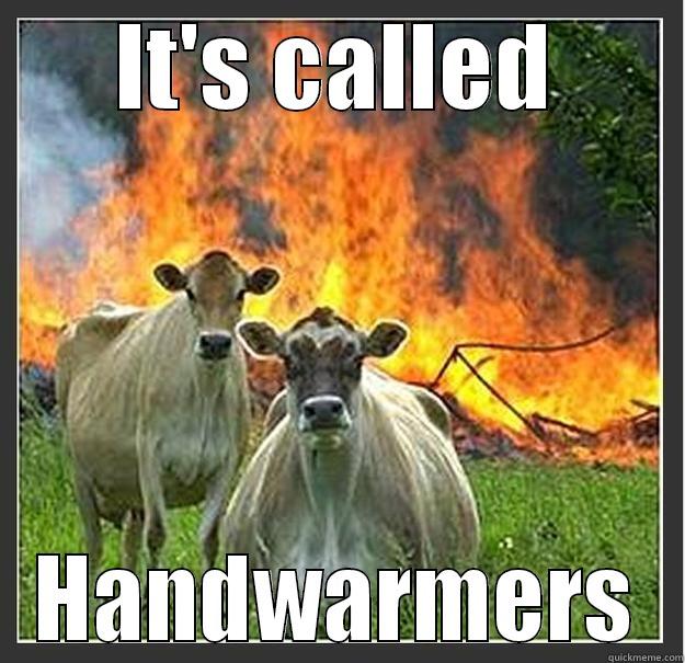 IT'S CALLED HANDWARMERS Evil cows