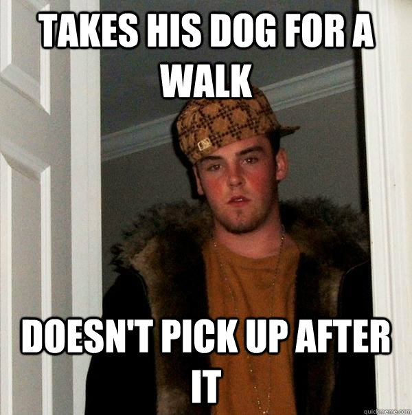 takes his dog for a walk doesn't pick up after it  Scumbag Steve