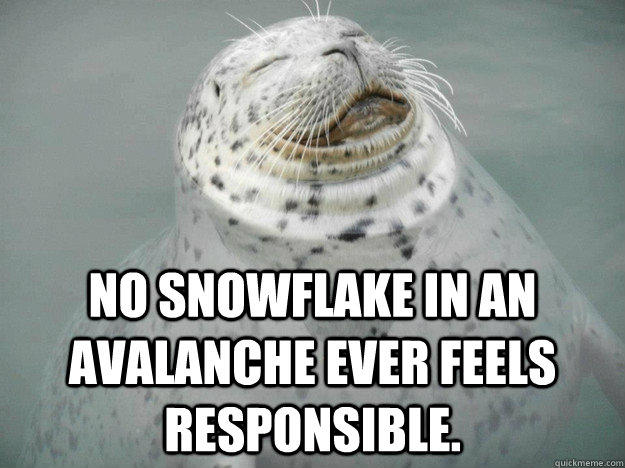 No snowflake in an avalanche ever feels responsible.  