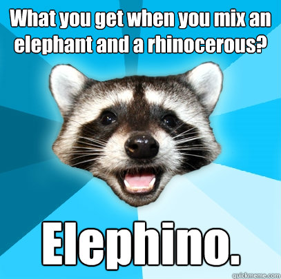 What you get when you mix an elephant and a rhinocerous? Elephino. - What you get when you mix an elephant and a rhinocerous? Elephino.  Lame Pun Coon