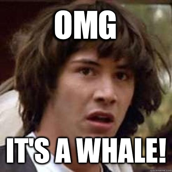 OMG It's a whale!  conspiracy keanu