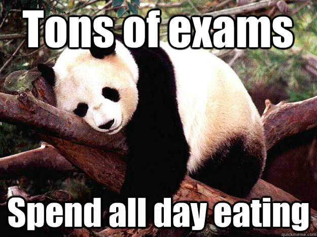 Tons of exams Spend all day eating  Procrastination Panda