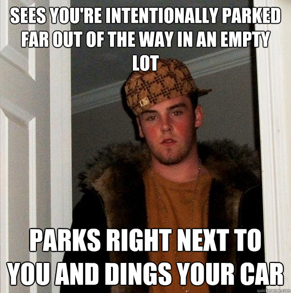 Sees you're intentionally parked far out of the way in an empty lot Parks right next to you and dings your car  Scumbag Steve