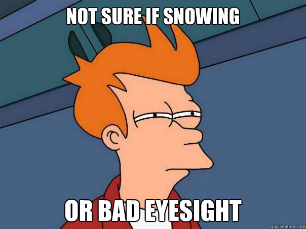 Not sure if snowing or bad eyesight  Futurama Fry