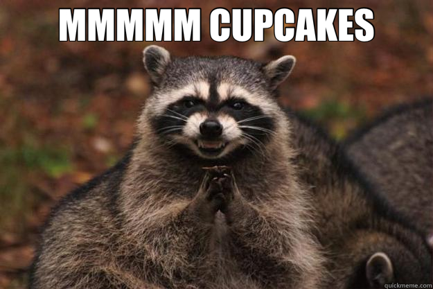 MMMMM CUPCAKES  - MMMMM CUPCAKES   Evil Plotting Raccoon