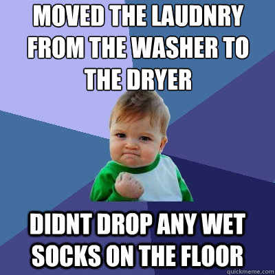 moved the laudnry from the washer to the dryer didnt drop any wet socks on the floor  Success Kid