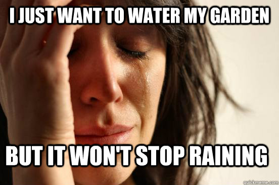 I just want to water my garden But it won't stop raining - I just want to water my garden But it won't stop raining  First World Problems