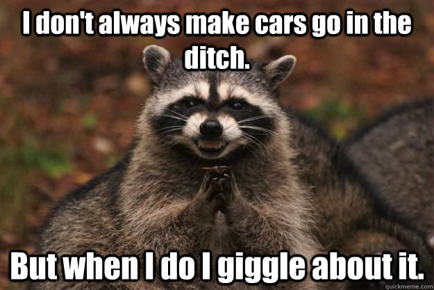 I don't always make cars go in the ditch. But when I do I giggle about it.  Evil Plotting Raccoon