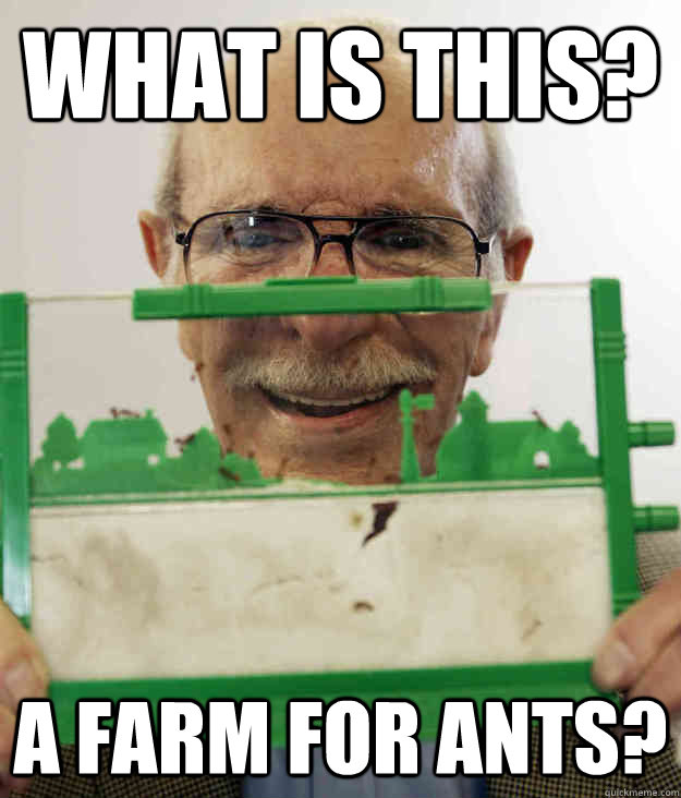 What is this? A farm for ants? - What is this? A farm for ants?  Misc