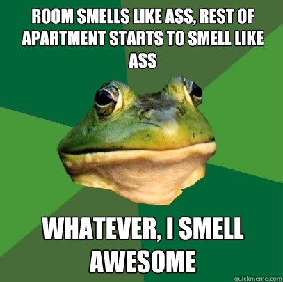 Room smells like ass, rest of apartment starts to smell like ass whatever, i smell awesome - Room smells like ass, rest of apartment starts to smell like ass whatever, i smell awesome  Foul Bachelor Frog