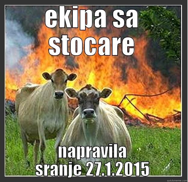 they call me sexyy - EKIPA SA STOCARE NAPRAVILA SRANJE 27.1.2015 Evil cows