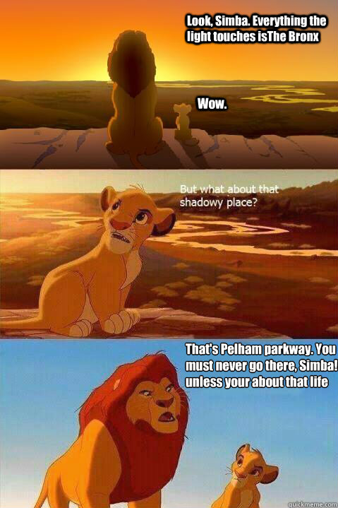 Look, Simba. Everything the light touches isThe Bronx Wow. That's Pelham parkway. You must never go there, Simba! unless your about that life  Lion King Shadowy Place