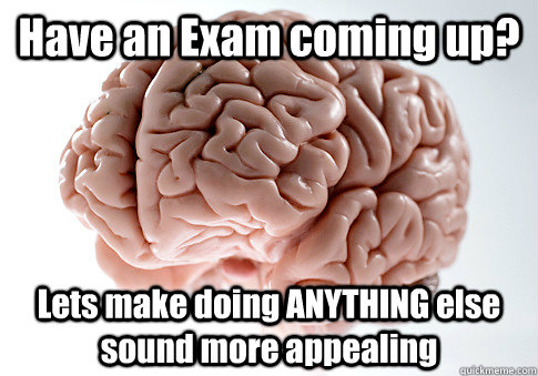 Have an Exam coming up? Lets make doing ANYTHING else sound more appealing   Scumbag Brain