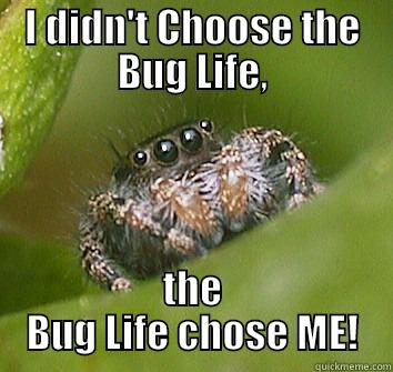 I DIDN'T CHOOSE THE BUG LIFE, THE BUG LIFE CHOSE ME! Misunderstood Spider