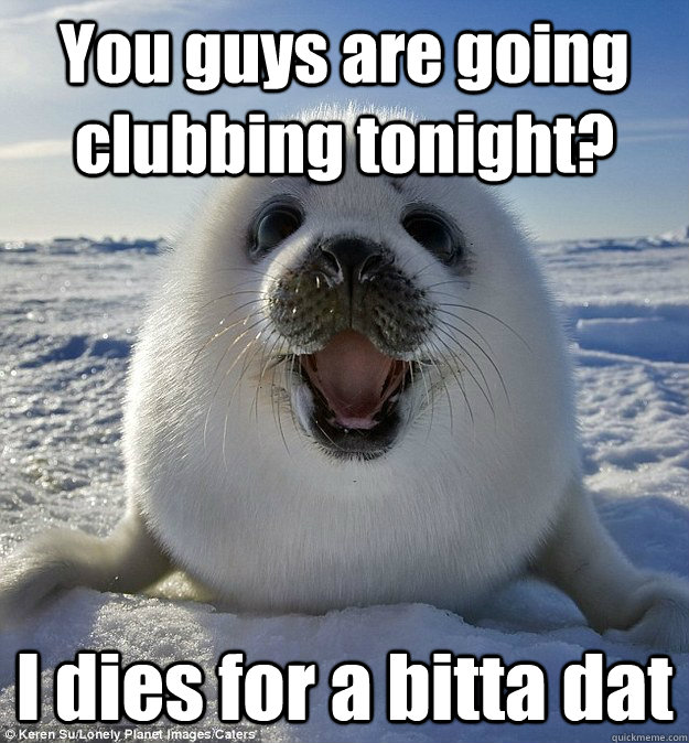 You guys are going clubbing tonight? I dies for a bitta dat - You guys are going clubbing tonight? I dies for a bitta dat  Easily Pleased Seal