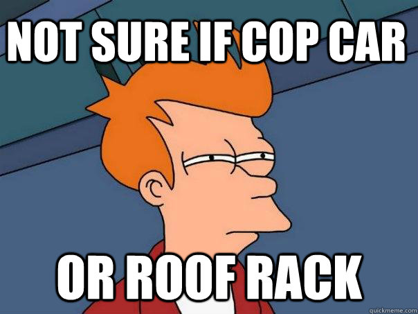 Not sure if cop car or roof rack  Futurama Fry