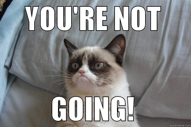 YOU'RE NOT GOING! Grumpy Cat