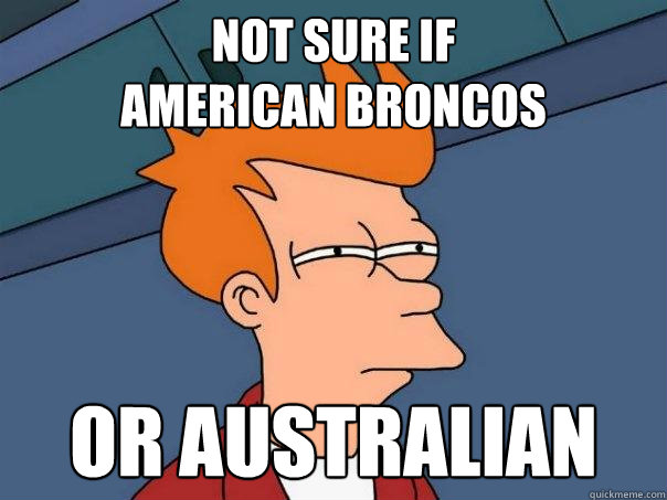 Not sure if 
american broncos or australian  Futurama Fry