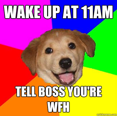 wake up at 11AM tell boss you're wfh  Advice Dog