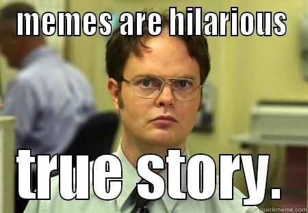 true story - MEMES ARE HILARIOUS TRUE STORY. Schrute