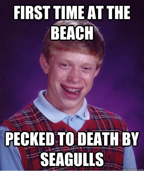 first time at the beach pecked to death by seagulls  Bad Luck Brian