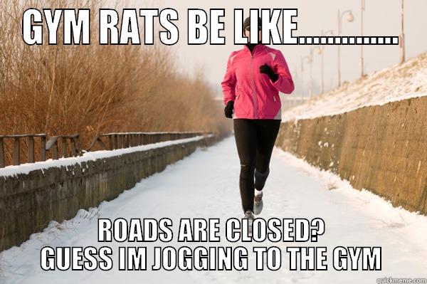 GYM RATS IN THE SNOW - GYM RATS BE LIKE.............. ROADS ARE CLOSED? GUESS IM JOGGING TO THE GYM Misc
