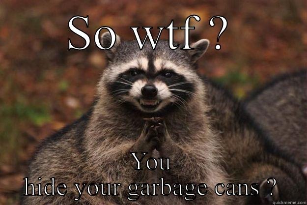 SO WTF ? YOU HIDE YOUR GARBAGE CANS ? Evil Plotting Raccoon