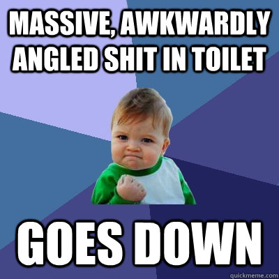 Massive, awkwardly angled shit in toilet goes down - Massive, awkwardly angled shit in toilet goes down  Success Kid