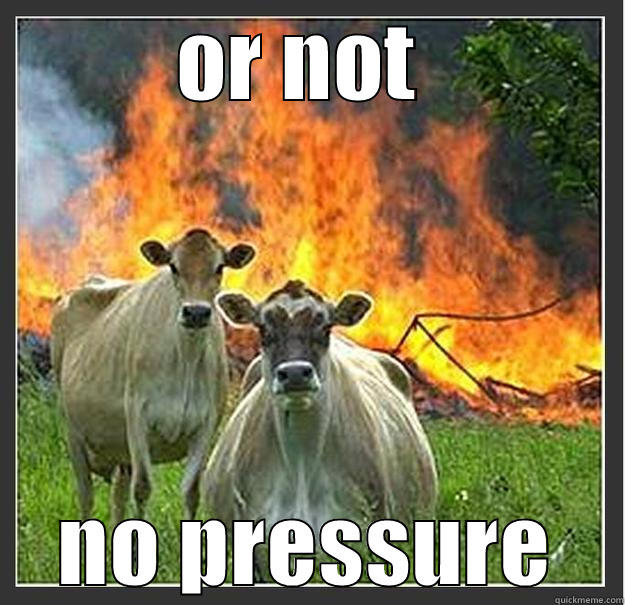 OR NOT  NO PRESSURE Evil cows