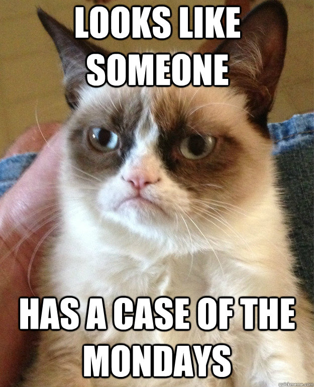 Looks like someone has a case of the mondays  Grumpy Cat