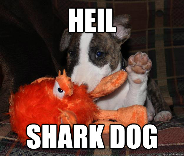 HEIL SHARK DOG  Shark Dog