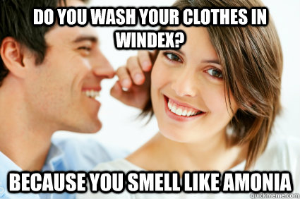 Do you wash your clothes in windex? Because you smell like amonia  Bad Pick-up line Paul