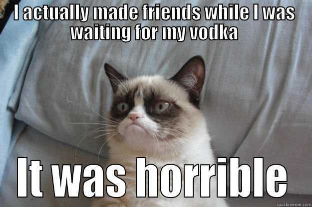 I ACTUALLY MADE FRIENDS WHILE I WAS WAITING FOR MY VODKA IT WAS HORRIBLE Grumpy Cat