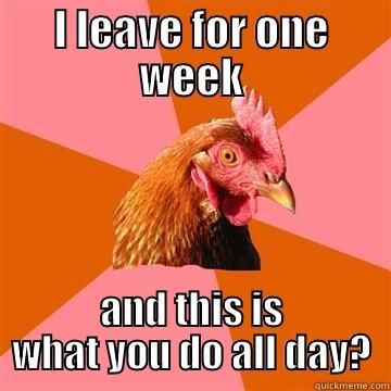 I leave for one week... - I LEAVE FOR ONE WEEK AND THIS IS WHAT YOU DO ALL DAY? Anti-Joke Chicken