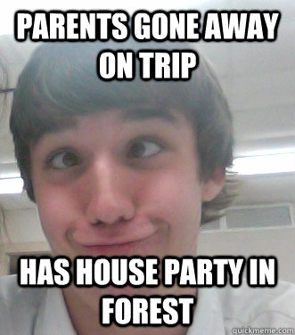 Parents gone away on trip Has house party in forest  