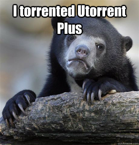 I torrented Utorrent Plus   Confession Bear