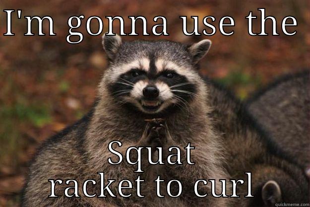 I'M GONNA USE THE  SQUAT RACKET TO CURL Evil Plotting Raccoon