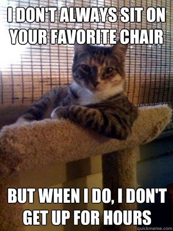 I don't always sit on your favorite chair but when I do, I don't get up for hours  The Most Interesting Cat in the World