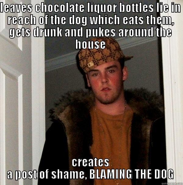 LEAVES CHOCOLATE LIQUOR BOTTLES LIE IN REACH OF THE DOG WHICH EATS THEM, GETS DRUNK AND PUKES AROUND THE HOUSE CREATES A POST OF SHAME, BLAMING THE DOG Scumbag Steve