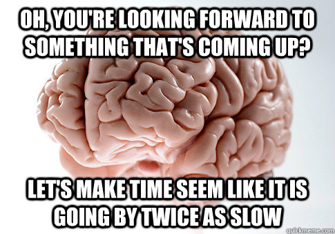 Oh, you're looking forward to something that's coming up? Let's make time seem like it is going by twice as slow  Scumbag Brain