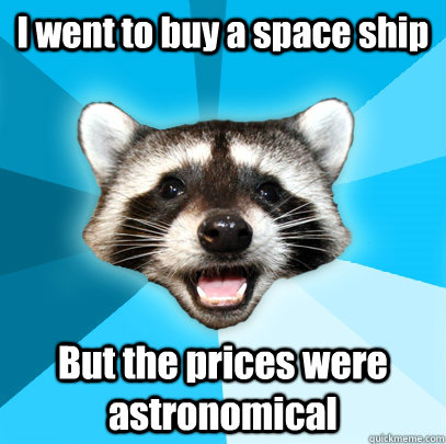 I went to buy a space ship But the prices were astronomical  Lame Pun Coon