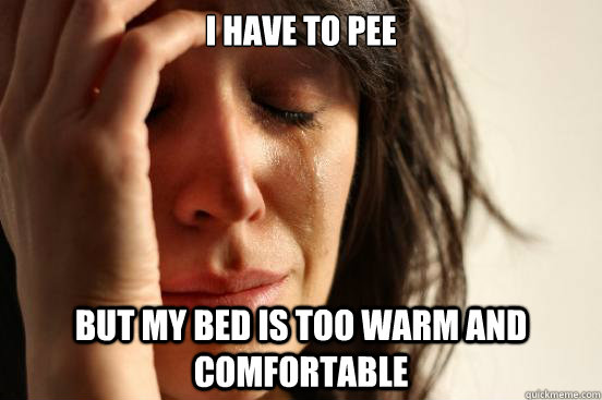 I have to pee but my bed is too warm and comfortable  First World Problems