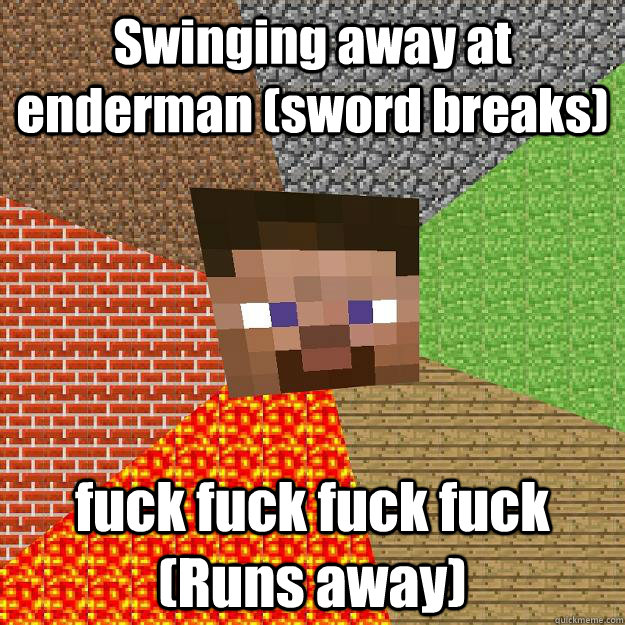 Swinging away at enderman (sword breaks) fuck fuck fuck fuck (Runs away)  Minecraft