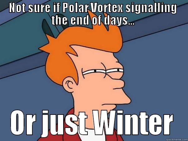 NOT SURE IF POLAR VORTEX SIGNALLING THE END OF DAYS... OR JUST WINTER Futurama Fry